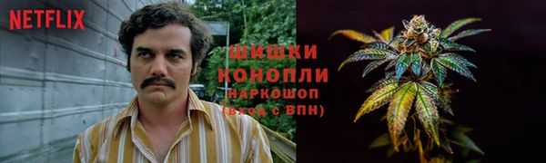 дурь Кинешма